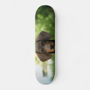 Brown Dachshund Puppy Mini Skateboard Bräda 18,5 Cm