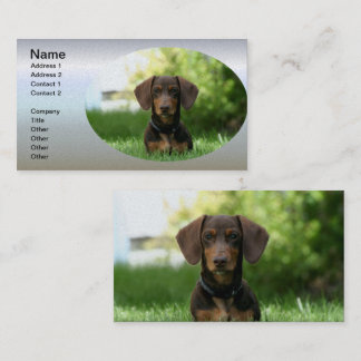 Brown Dachshund Puppy Visitkort