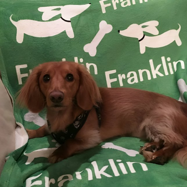 Brown Dachshund Wiener Hund Anpassningsbar Blanket Fleecefilt (Dachshund blanket - personalized wiener dog gift )