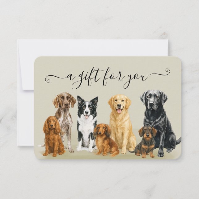 Brown Dog Grooming Husdjur Veterinär Pensionsintyg (Framsida)