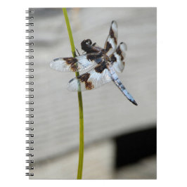 Brown Dragonfly Notebook Journal Anteckningsbok