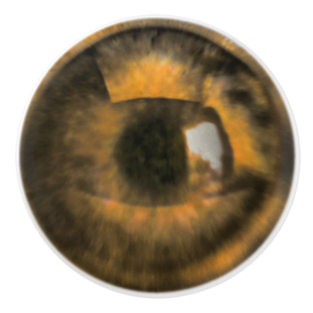 Brown Eyeball Knopp (Framsidan)