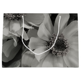 Brown Eyed Susan Flowers