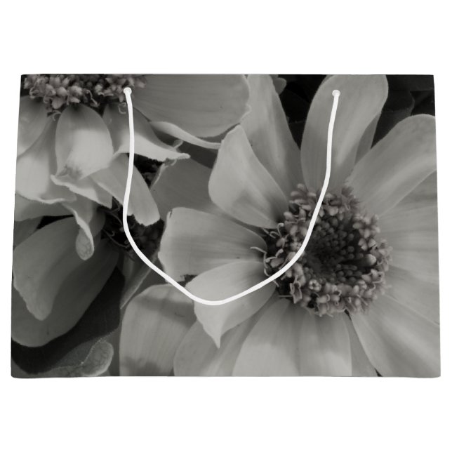 Brown Eyed Susan Flowers (Framsidan)