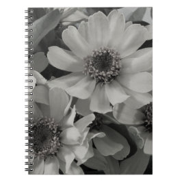 Brown Eyed Susan Flowers Anteckningsbok