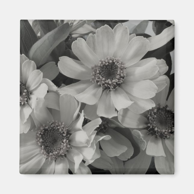 Brown Eyed Susan Flowers Magnet (Framsidan)