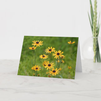 Brown Eyed Susans Tack Kort