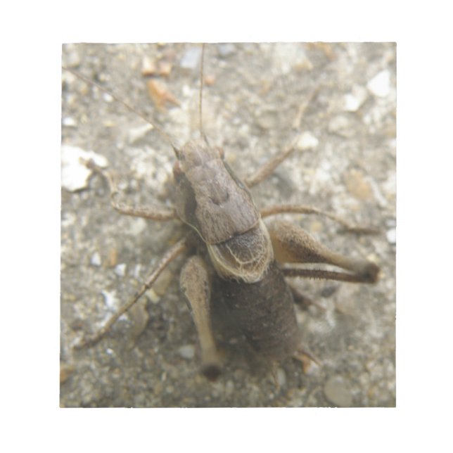 Brown Fält Cricket Anteckningsblock (Framsida)