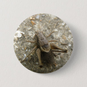 Brown Fält Cricket Button Knapp