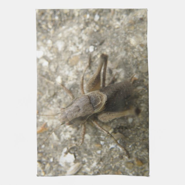 Brown Fält Cricket Kitchen Towel Kökshandduk (Vertikal)