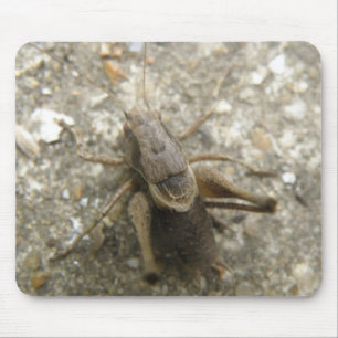 Brown Fält Cricket Mousepad Musmatta