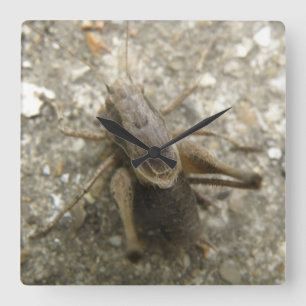 Brown Fält Cricket Wall Clock Fyrkantig Klocka