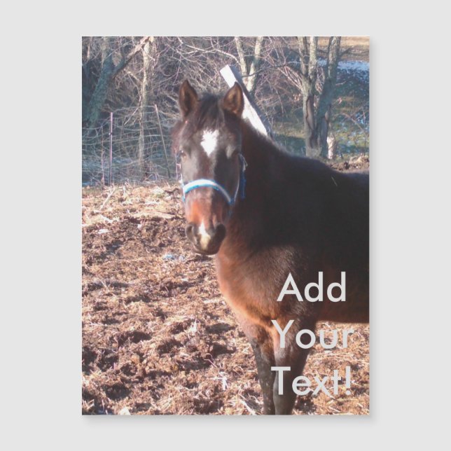 Brown Farm Horse Raleigh County (Framsida)