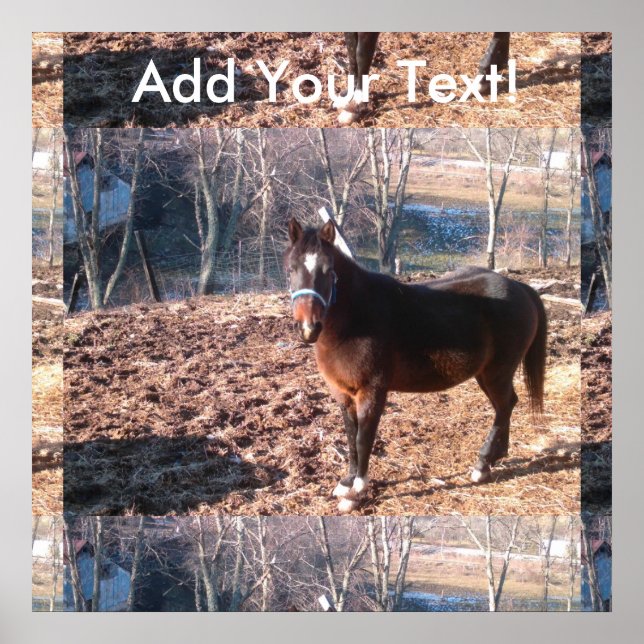 Brown Farm Horse Raleigh County Poster (Framsidan)