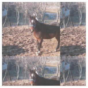 Brown Farm Horse Raleigh County Tyg