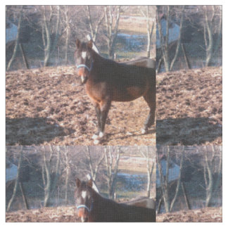 Brown Farm Horse Raleigh County Tyg