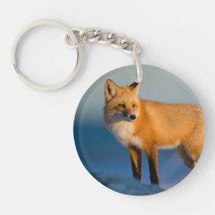 Brown Fox