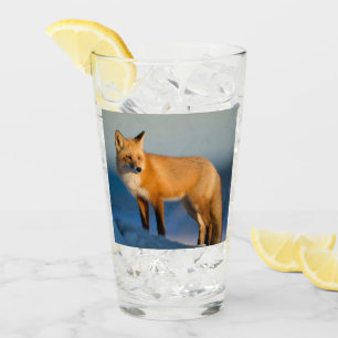Brown Fox Glaskopp