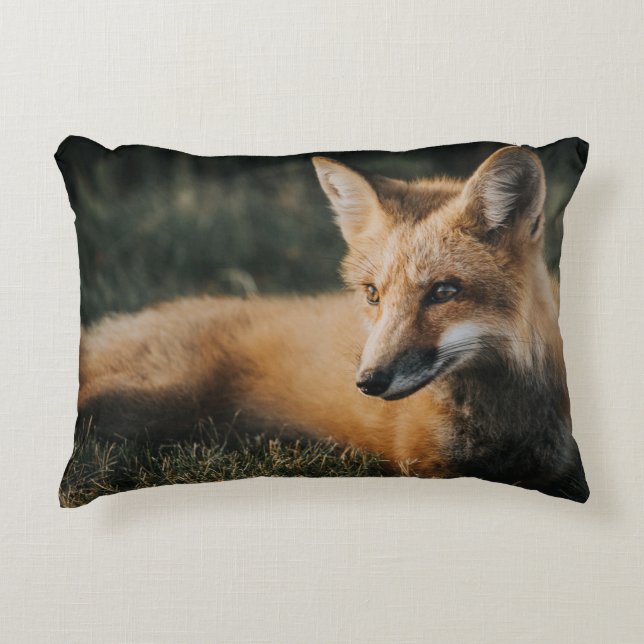 BROWN FOX ON GROUND PRYDNADSKUDDE (Framsidan)