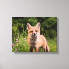 Brown Fox på grönt gräs Canvastryck
