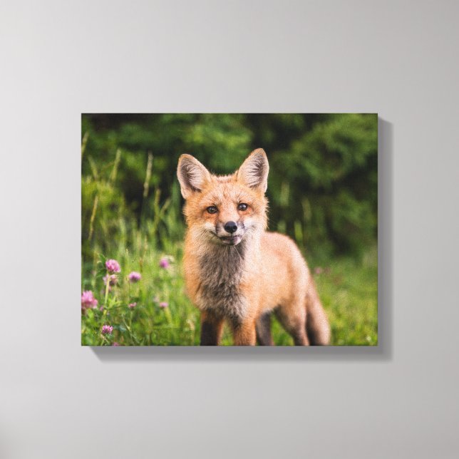 Brown Fox på grönt gräs Canvastryck (Framsida)