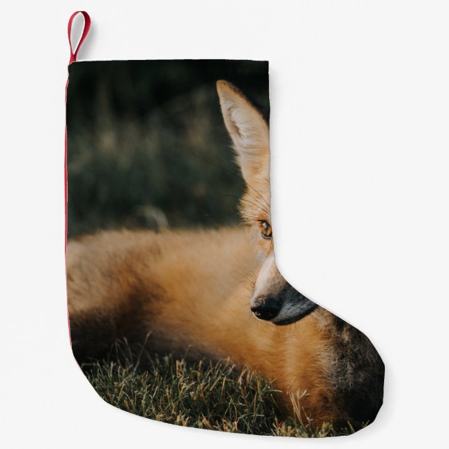 BROWN FOX PÅ MARKEN LITEN JULSTRUMPA (Framsidan)