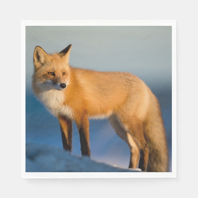 Brown Fox Pappersservett (Framsidan)