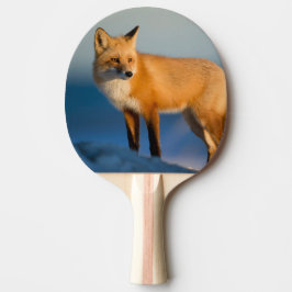 Brown Fox Pingisracket