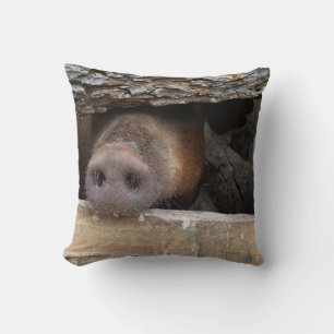 Brown Gris Poking Nose genom Rustic Fence Kudde