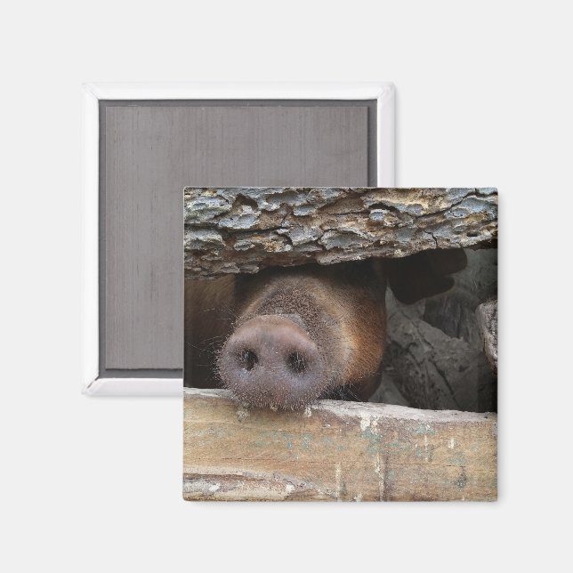 Brown Gris Poking Snout genom Rustic Fence Magnet (Front/Back)