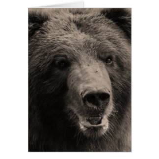 Brown Grizzly Bear Wildlife Photo Hälsningskort