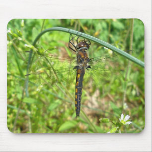 Brown Guld Dragonfly Mousepad Musmatta