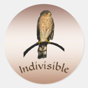 Brown Hawk Indivisible Stickers Runt Klistermärke