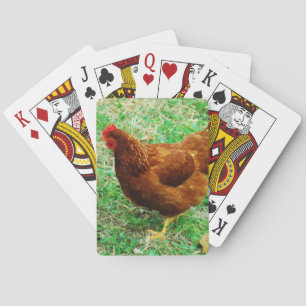 Brown Hen Kortlek