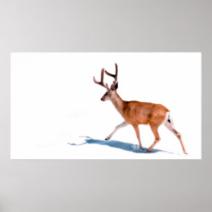 BROWN HJORT ON WHITE BAKGRUND POSTER