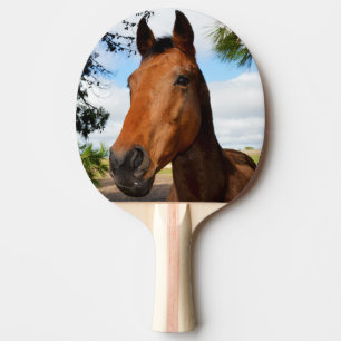 Brown Horse Ansikte, Pingisracket