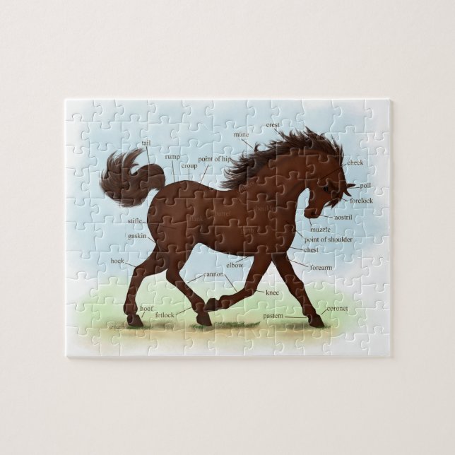 Brown Horse Educational Equine Anatomy Pussel (Horisontell)