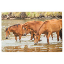 Brown Horse-familjen vid floden