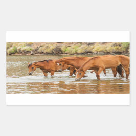 Brown Horse-familjen vid floden Rektangulärt Klistermärke