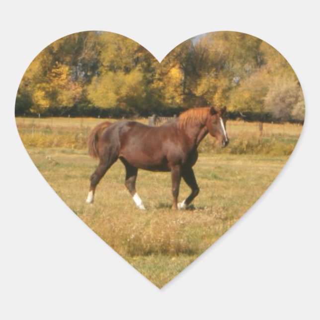 Brown Horse Hjärtformat Klistermärke (Framsida)