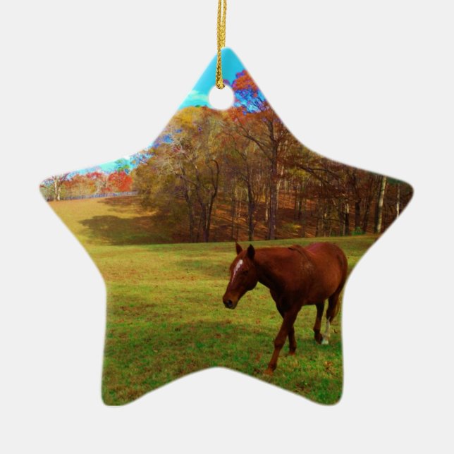 Brown Horse i en regnbåge färgad fält Julgransprydnad Keramik (Framsidan)