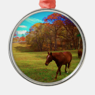 Brown Horse i en regnbåge färgad fält Julgransprydnad Metall