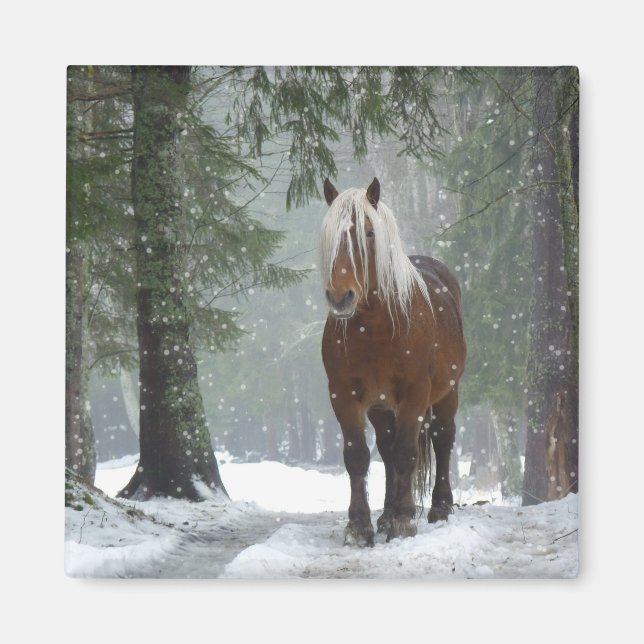 Brown Horse i en vinter-skog med Snö-fall Magnet (Framsidan)