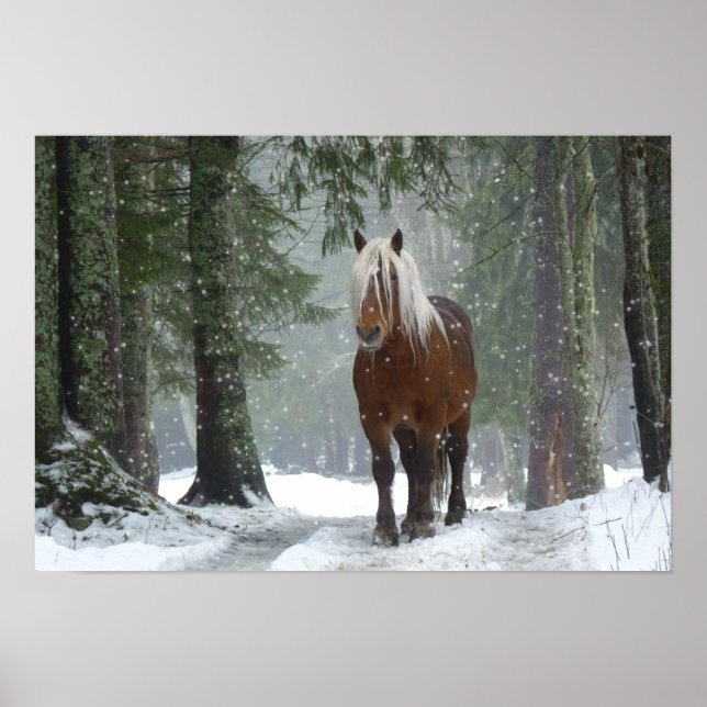 Brown Horse i en vinter-skog med Snö-fall Poster (Framsidan)