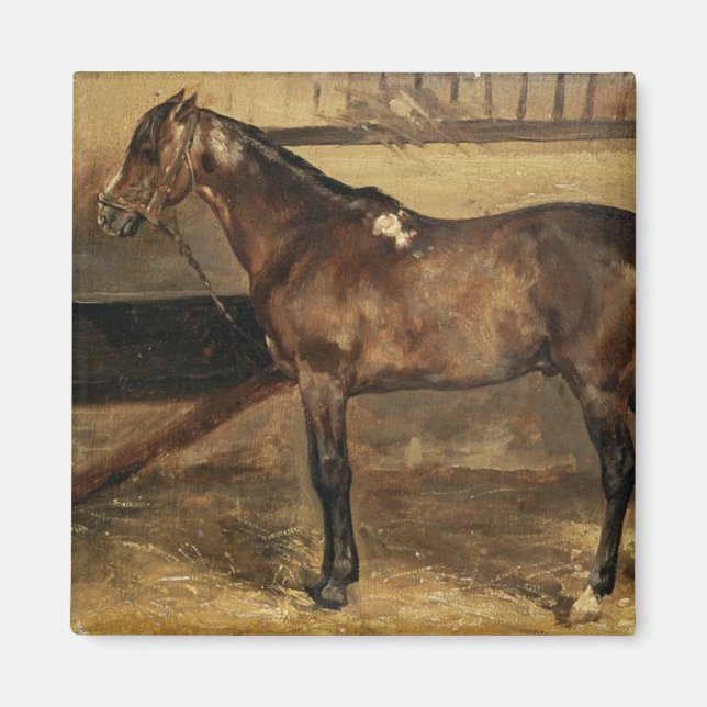 Brown Horse i Stable Stalls Magnet (Framsidan)
