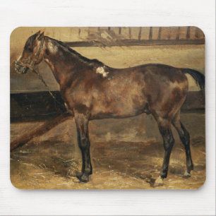 Brown Horse i Stable Stalls Musmatta
