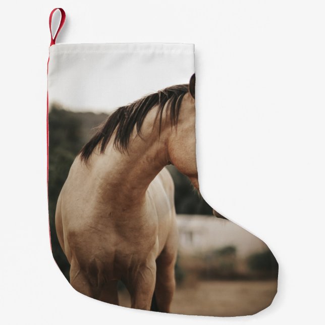 BROWN HORSE LITEN JULSTRUMPA (Framsidan)