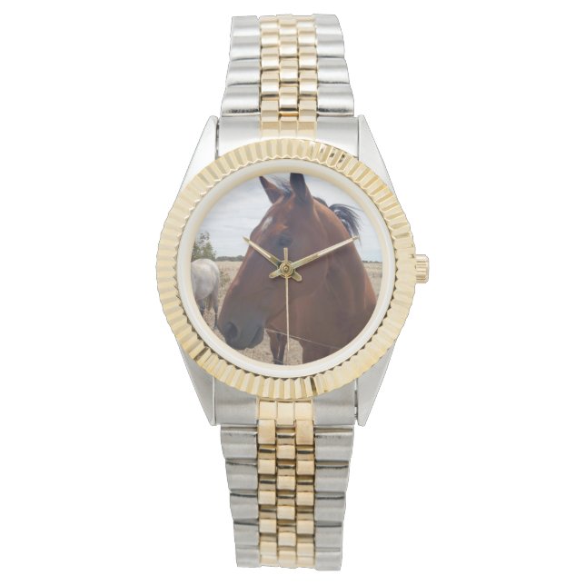 Brown Horse Magic Armbandsur (Framsida)