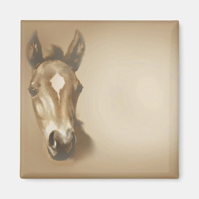 BROWN-HORSE MAGNET (Framsidan)