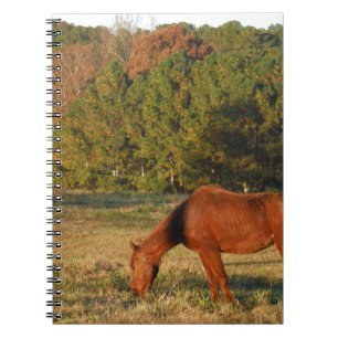Brown Horse med Gräs Träd Anteckningsbok Med Spiral